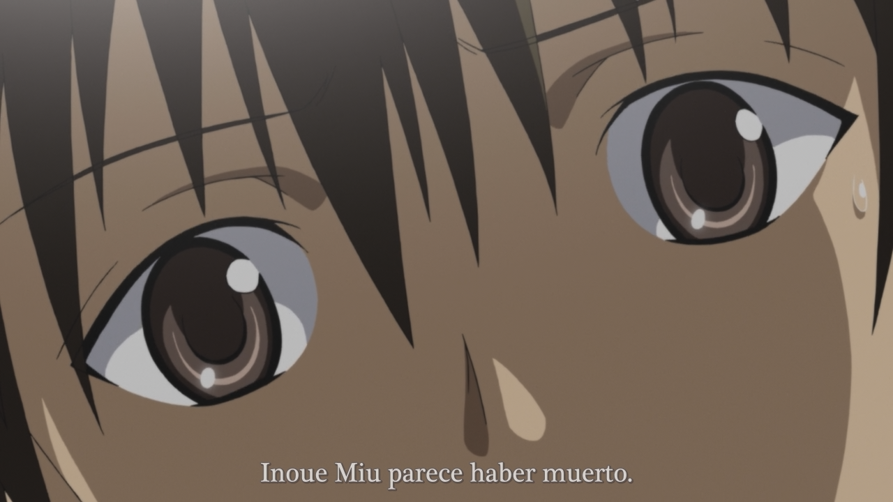 Bungaku Shoujo (Osoku no Fansub)